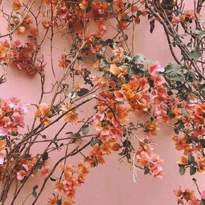 特色黄色一级性爱纲站
